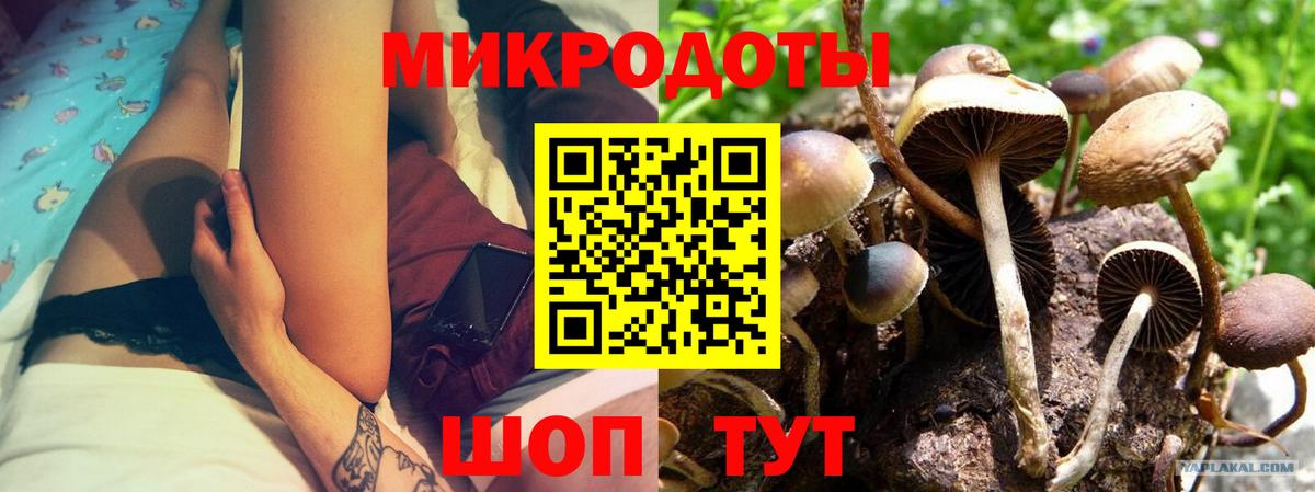 Жуковский  Галлюциногенные грибы Psilocybine cubensis  Вход с VPN 