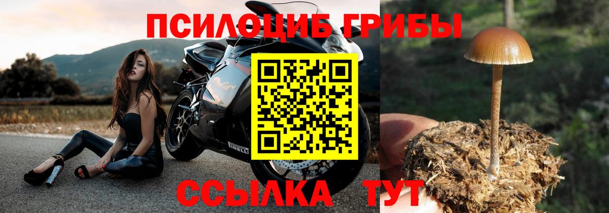 Галлюциногенные грибы мухоморы Жуковский